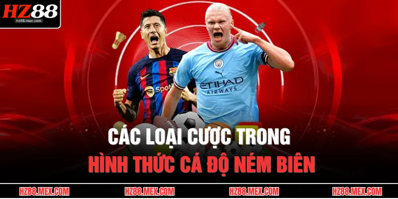  Các loại cược trong hình thức cá độ ném biên 