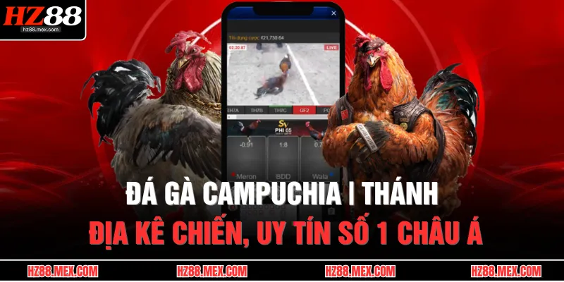 Đá Gà Campuchia | Thánh Địa Kê Chiến, Uy Tín Số 1 Châu Á